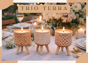 Trio Terra